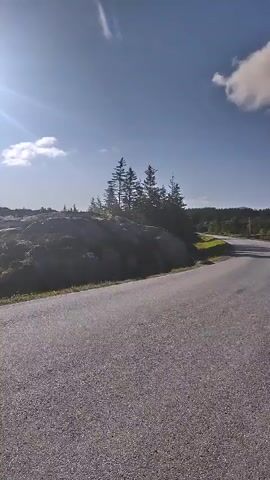 The video shows a roadside view of a hilly, natural landscape on a sunny day. The road appears to be paved and is in the foreground, with the terrain sloping upwards behind it. There are rocks, grasses, and scattered trees, including some taller, dark green coniferous trees. The sky is blue with a few scattered white clouds. The sun is bright and appears high in the sky, casting a lens flare in the upper left corner of the frame. The camera is in motion, moving forward along the road, as indicated by the slight shift in perspective. There are no people or man-made structures other than the road visible in the video.