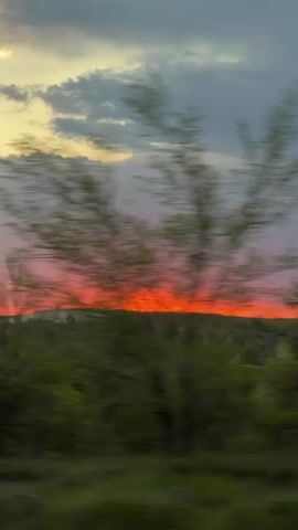The video shows a sunset through a vehicle window. The sky is orange and pink, with dark clouds above. The horizon is partially obscured by green trees and foliage. The camera moves quickly, blurring the foreground while capturing the sunset.