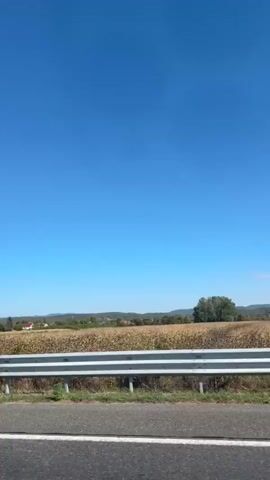 The video shows a view from a moving vehicle, likely a car. The camera is angled towards the right, capturing a roadside scene under a clear blue sky. A metal guardrail runs along the edge of the road, separating it from a field of tall, dry grass or reeds. Beyond the field, there are glimpses of a rural landscape with scattered trees, houses, and rolling hills in the distance. The road itself, with its asphalt surface and white markings, is visible in the foreground. The sunlight suggests it is daytime, likely a sunny day. There are no people or other animals visible in the frame. The motion of the vehicle creates a slight blur in the distant scenery, indicating movement.