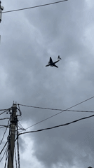 Morning moments captured across Moscow suburbs: cats, planes, urban life