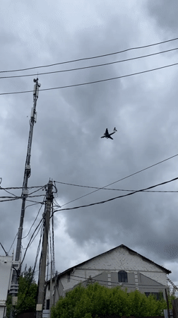 Morning moments captured across Moscow suburbs: cats, planes, urban life