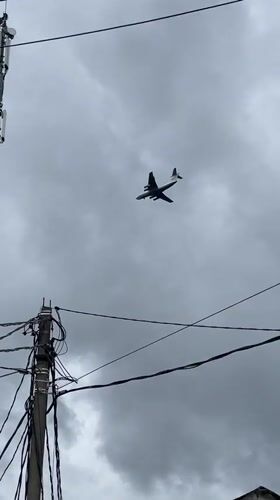 Morning moments captured across Moscow suburbs: cats, planes, urban life