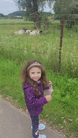 A young girl with long brown hair, wearing a purple hooded jacket with white stars and a tiara, walks along a paved path next to a grassy field. She is looking towards a flock of sheep grazing in the field behind a wire fence. Some of the sheep are lying down, while others are standing. The field is covered in green grass and white wildflowers. In the background, there are trees and a hill. The sky is overcast.