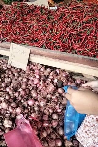 The video shows a close-up view of a market stall with two large piles of produce. On the left is a large pile of long, thin red chilies. On the right is a pile of small red onions. A person's hands are visible in the upper right corner, sorting through the onions and placing them into a blue plastic bag. A handwritten sign with some writing on it is partially visible in the foreground between the chilies and onions. The lighting suggests an indoor or covered market setting.