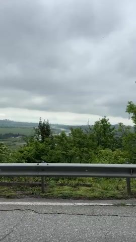 The video shows a view from a moving vehicle along a road. A gray metal guardrail runs along the edge of the road. On the other side of the guardrail is green foliage, including trees and bushes. In the distance, a cityscape can be seen under a cloudy gray sky. A lamppost occasionally passes by. The road itself appears to be asphalt with some visible cracks. The overall environment suggests a rural or semi-rural setting on a cloudy day.