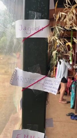 This video shows a group of people gathered in an outdoor covered area. The area has a wooden roof and appears to be decorated with streamers and what look like name tags hanging from strings. In the foreground, there is a dark vertical post with several pieces of paper attached to it with red string. The papers have handwritten names on them, including "Jagoda" and "ARISTOTELO". In the background, there are tables and benches where people are sitting, and some people are standing. There are also shelves with various items on them. The overall scene suggests a casual gathering or event.