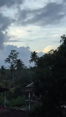 The video captures a serene tropical landscape in Arachikanda, Sri Lanka, during what appears to be late afternoon or early evening. The sky is a canvas of dramatic, dark grey clouds interspersed with patches of lighter grey and hints of a soft yellow glow, suggesting the sun is either rising or setting behind the clouds.

The scene is dominated by lush, dense tropical vegetation, with numerous palm trees of varying heights piercing the horizon. A tall, solitary tree stands prominently in the mid-ground, its branches reaching towards the sky. Below the canopy, a small, multi-level structure with a red roof is partially visible, suggesting a dwelling or guesthouse integrated into the natural environment. A satellite dish is visible on the roof of another nearby building in the foreground, indicating a connection to modern amenities within this natural setting.

The overall mood is tranquil and somewhat atmospheric, with the dynamic cloud formations adding a sense of drama to the peaceful scenery. The image conveys a sense of being immersed in nature, away from the hustle and bustle of urban life. There is no visible text in the media file.