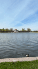 Spring morning visitors explore Peterhof Palace gardens in Russia