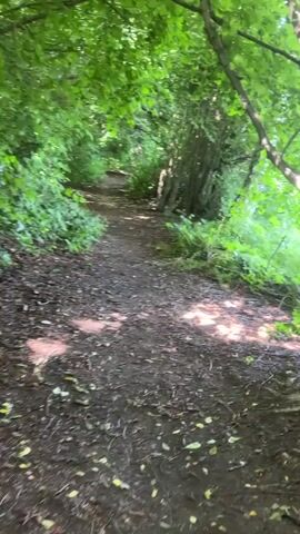 The video shows a first-person perspective of someone walking on a dirt path in a wooded area. The path is lined with dense green foliage and trees, creating a tunnel-like effect. Sunlight filters through the leaves, casting dappled shadows on the ground. The path appears somewhat wet in places, with what looks like puddles of water or mud. As the person continues to walk, the path opens up to a brighter area with a field of tall green plants visible in the distance. The camera is somewhat shaky, suggesting movement.