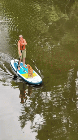 Woman paddles with dog on waterway in Stade