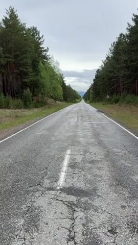 A person walks away from the viewer on a straight, cracked asphalt road, flanked by tall green trees on either side. The person is wearing a light yellow hoodie, khaki pants, and black and red sneakers. The sky above is overcast, and there are distant mountains visible at the end of the road. A white line runs down the center of the road. A small triangular road sign is visible on the right side of the road.
