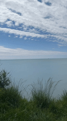 Coastal seascape documented in Sosnovy, Russia morning views