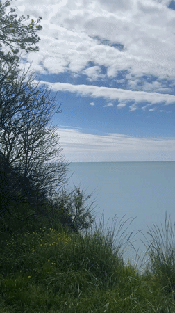 Coastal seascape documented in Sosnovy, Russia morning views