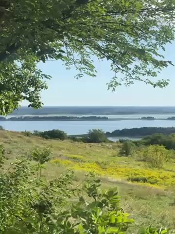 The camera pans from a tree to a beautiful view of a lake surrounded by trees and a field of yellow wildflowers. The sky is light blue with puffy white clouds. The sun is shining and glints off the surface of the water. The view is from an elevated position, looking down on the scene. People can be heard in the background.