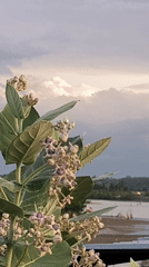 Daily life scenes captured across Lhokseumawe, Indonesia waterfront