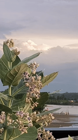 Daily life scenes captured across Lhokseumawe, Indonesia waterfront