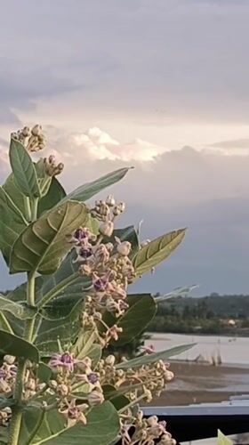 Daily life scenes captured across Lhokseumawe, Indonesia waterfront