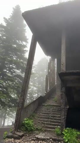 A shaky, handheld video pans upwards along a worn, concrete staircase leading to an abandoned, brutalist-style building. The structure appears to be in disrepair, with exposed rebar and a decaying roofline. Thick fog or mist envelops the scene, obscuring the background and creating a somber atmosphere. Tall, dark green coniferous trees are visible through the fog, adding to the isolated and eerie feeling. Green plants and weeds sprout from cracks in the concrete and along the edges of the stairs, indicating a lack of maintenance. The overall impression is one of abandonment and decay in a damp, misty forest environment.