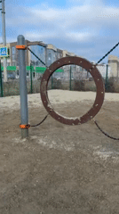 Dog practices agility training at Anapa park