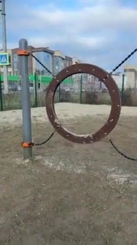 Dog practices agility training at Anapa park