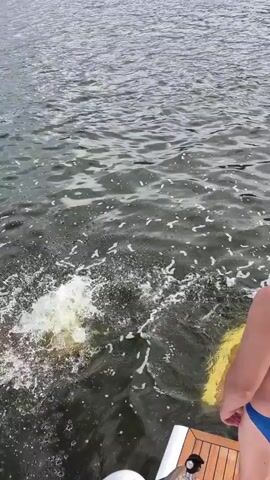 A man in blue swim trunks stands on the back of a boat, looking at the water. He then jumps into the water, creating a large splash.