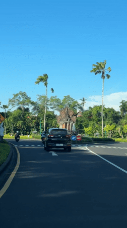 Black car stops at tropical roundabout crosswalk