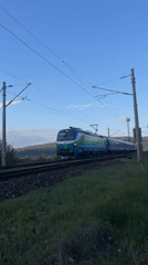 Rural Bulgaria evening scenes: train, jogger with dog, grazing horse