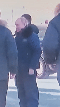 Domestic scenes, cat videos, residential buildings captured morning hours