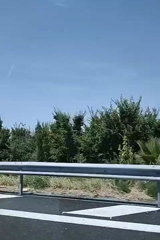 The video shows a view from a vehicle traveling along a road. A metal guardrail is visible in the foreground. Beyond the guardrail, there is vegetation, including trees and bushes, as well as some fields or vineyards. The sky is clear and blue. The sun is shining, indicating a daytime scene. The camera appears to be mounted in a moving vehicle, as suggested by the blurred motion of the scenery and the perspective. There are no people or direct interactions depicted in the video. The environment appears to be rural or semi-rural, with evidence of agriculture in the background.