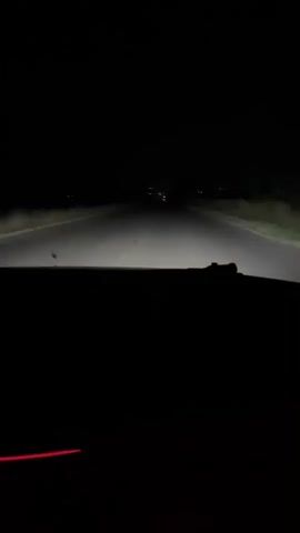 The video begins with a view of a dark, rural road at night, illuminated by the headlights of a car. The camera pans slightly to show the dashboard of the car, which features a speedometer, tachometer, and a digital odometer displaying 423299. Red LED lighting is visible along the dashboard and around the center console. The camera then moves to show the view through the windshield, continuing to capture the road ahead and the surrounding darkness. The driving appears to be at a moderate speed, and there are no other vehicles or people clearly visible on the road or in the immediate vicinity. The overall atmosphere is that of a nighttime drive through an unlit area.