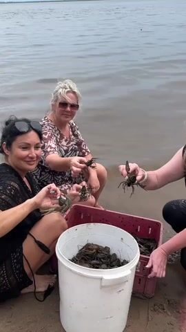 Three women are crouched by the edge of a body of water. In front of them is a white bucket and a red crate, both filled with crayfish. The woman on the left, wearing a black lace top and sunglasses, holds a crayfish in her right hand. The woman in the middle, with blonde hair and sunglasses, also holds a crayfish. The woman on the right, wearing a black t-shirt and a black baseball cap, is holding a crayfish in her left hand and reaching towards the crate with her right. The water is calm and appears to be a lake or large river. The ground is sandy.