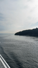 Ferry gliding past forested Gulf Islands coastline