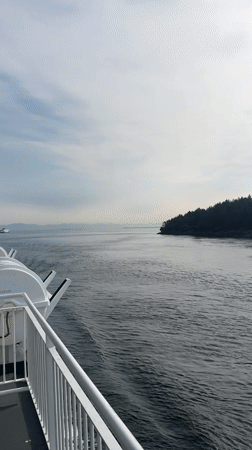 Ferry gliding past forested Gulf Islands coastline