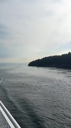 Ferry gliding past forested Gulf Islands coastline