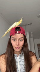 Woman poses with pet cockatiel in Krasnoyarsk home