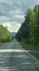 Tree-lined road journey recorded near Сизая, Russia