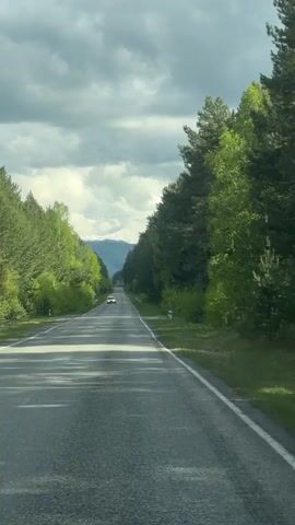 The video shows a view from a car driving down a straight asphalt road. The road is lined with green trees on both sides, forming a tunnel-like effect.  In the distance, there are mountains visible under a cloudy sky. A white car is approaching in the distance.