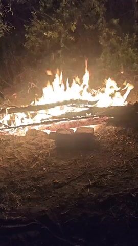 A medium shot captures a nighttime campfire. Flames dance upwards from a pile of logs and branches on the ground, illuminating the surrounding dry dirt and sparse vegetation. The fire is the brightest element, casting an orange glow that fades into the darkness. A few darker logs and possibly bricks are visible beneath the burning wood. The background is out of focus, showing the silhouettes of trees and foliage against the night sky.