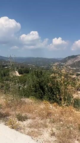 The video shows a scenic view of a valley with rolling hills covered in green vegetation. A few scattered houses with red roofs are visible among the trees. The sky is blue with scattered white clouds. In the foreground, there are dry grasses and some thorny plants. The camera appears to be moving along a dirt road, as evidenced by the road surface in the lower part of the frame. The overall impression is one of a rural, possibly Mediterranean, landscape on a sunny day.