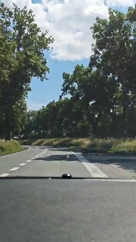 The video shows a view from inside a car driving on a paved road. The road is lined with trees on both sides, and there is tall grass on the right side of the road. The sky is blue with some clouds. A circular sign with two red bars crossed out is visible on the right side of the road. The camera is positioned at the bottom of the frame, suggesting it is mounted on the dashboard. The car appears to be moving forward on a curve. The lighting suggests it is daytime.