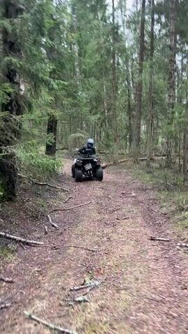 A person wearing a dark jacket and light-colored helmet drives an ATV along a dirt path through a forest. The trees are mostly evergreens, the weather appears overcast. The camera follows the ATV.