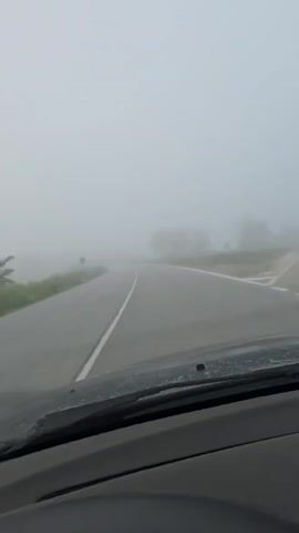 The video, filmed from a car's dashboard perspective, shows a vehicle driving along a foggy road. Visibility is significantly reduced due to the dense fog. The asphalt road has clear white lines, both solid and broken, guiding the path.

As the car moves forward, several road signs become faintly visible through the mist. Around the 0:00 mark, a blue circular sign with a white arrow pointing right (indicating a mandatory right turn) can be seen on the right side of the road. Further ahead, at approximately 0:02, another set of signs appears on the right, including a triangular warning sign and another blue circular mandatory turn sign. Shortly after, a red circular sign with a white horizontal bar (typically indicating 'no entry' or 'do not proceed') comes into view. Trees and green vegetation line the sides of the road, fading into the fog. The road surface appears damp, suggesting the presence of moisture from the fog or recent rain. The car approaches what seems to be a slight curve or intersection.