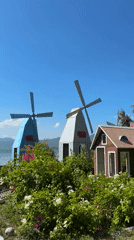 Tropical beach resort in Vĩnh Lương with horses, monkeys, and decor