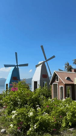 Tropical beach resort in Vĩnh Lương with horses, monkeys, and decor