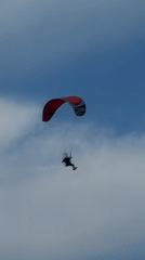 Tel Aviv beachfront scenes: paragliding, volleyball, dogs, comedy contest flyer