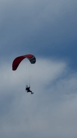 Tel Aviv beachfront scenes: paragliding, volleyball, dogs, comedy contest flyer