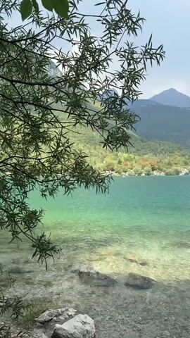 The video shows a scenic view of a clear turquoise lake with visible rocks and pebbles at the bottom. Lush green trees with long leaves hang over the foreground, partially obscuring the view. In the background, rolling green hills rise to meet majestic mountains under a partly cloudy sky. The overall impression is one of natural beauty and tranquility. There are no people, animals, or specific actions depicted.