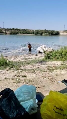 A person wearing a hat and shorts stands in shallow water near the shore of a lake or river. They are holding a fishing net and a fishing rod. The water appears murky and there are weeds or other vegetation growing in and around the water. The shore is covered in sand and dry grass. In the foreground, there are several plastic bags, one black, one white, and one yellow. The yellow bag has some text and numbers printed on it. In the background, there is a tree line across the water and a clear blue sky. The overall scene suggests a warm, sunny day.