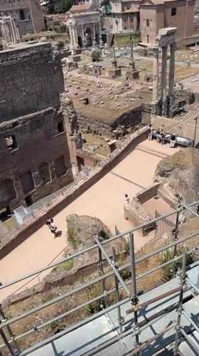 Sunny morning at the Roman Forum, ruins and seagulls included