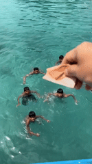 Boys swim for money near boat in Jakarta waters